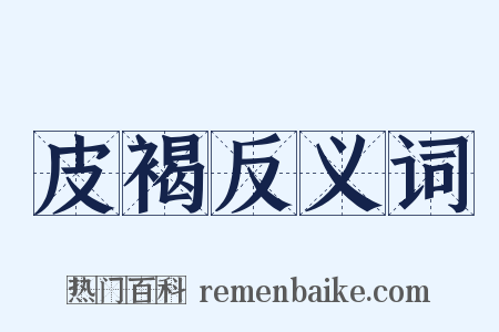 皮褐反义词是什么意思的图片